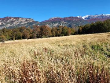 Venta / Terreno / Río Ibáñez