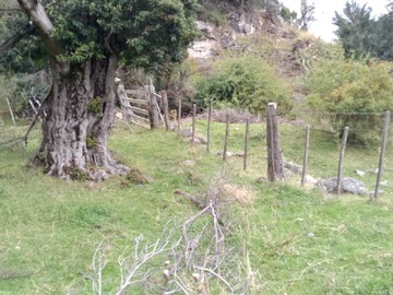 Imagen 7