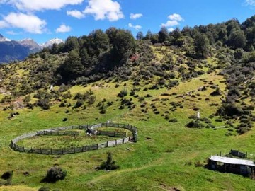 Venta / Terreno / Río Ibáñez