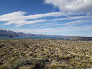Venta / Terreno / Río Ibáñez