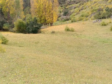 Imagen 16