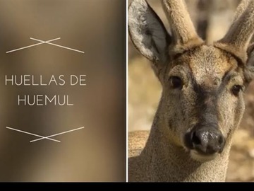 Imagen 9