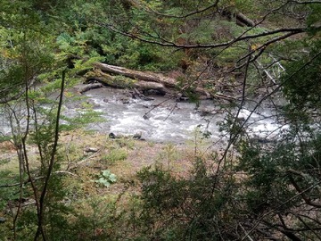 Venta / Terreno / Río Ibáñez