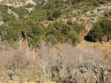 Imagen 9