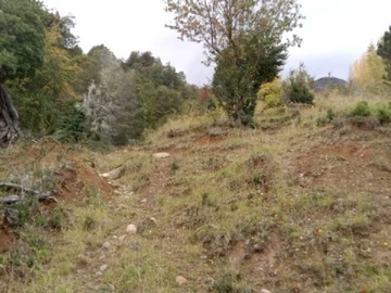 Imagen 18