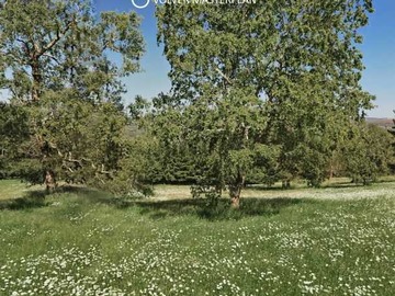 Venta / Terreno / Río Negro