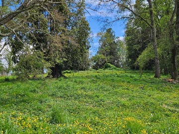 Venta / Terreno / Río Negro