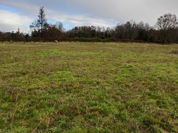 Venta / Terreno / Río Negro