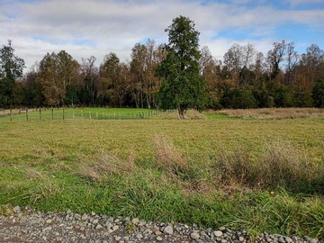 Venta / Terreno / Río Negro