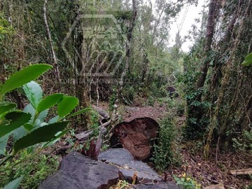 Venta / Terreno / Saavedra