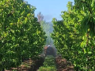 Venta / Terreno / Sagrada Familia