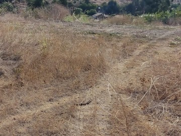 Imagen 9