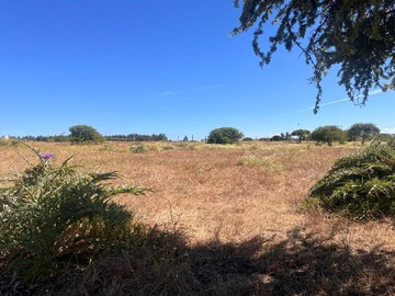 Venta / Terreno / San Antonio