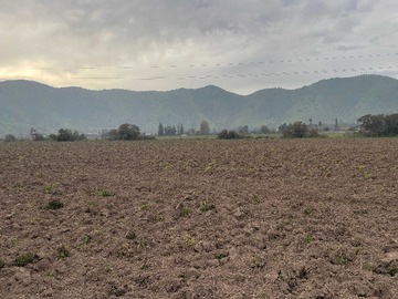 Venta / Terreno / San Bernardo