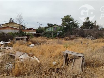 Imagen 6
