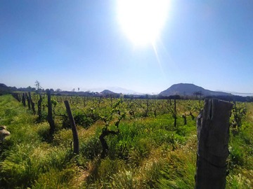 Venta / Terreno / San Bernardo