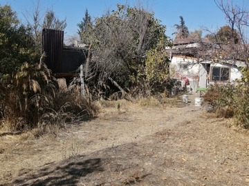 Imagen 6
