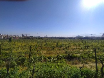 Venta / Terreno / San Bernardo