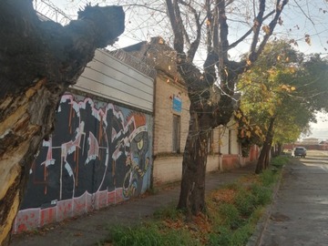 Imagen 11