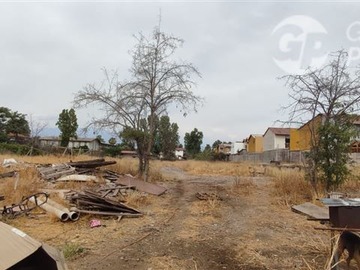 Imagen 8