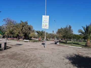 Imagen 14