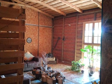 Imagen 7