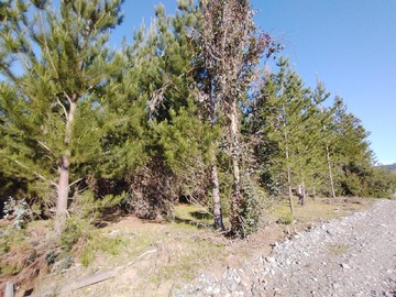 Venta / Terreno / San Carlos