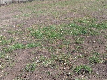 Venta / Terreno / San Carlos