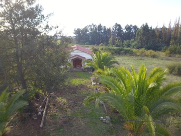 Imagen 10
