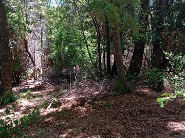 Venta / Terreno / San Clemente