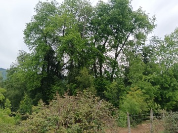 Venta / Terreno / San Clemente