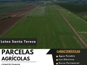 Venta / Terreno / San Clemente