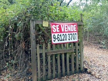 Imagen 6