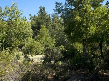 Imagen 8