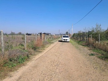 Imagen 5