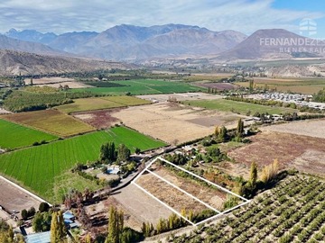 Imagen 4