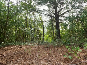 Venta / Terreno / San Fabián