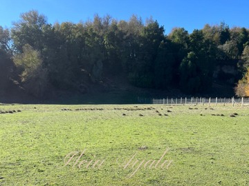 Venta / Terreno / San Fabián
