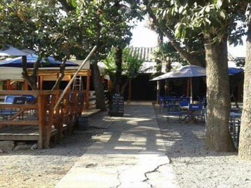 Imagen 6