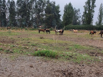 Venta / Terreno / San Fernando