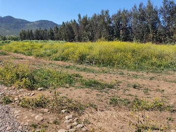 Imagen 13