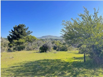 Venta / Terreno / San Javier de Loncomilla