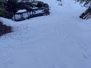 Venta / Terreno / San José de Maipo