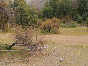 Imagen 11
