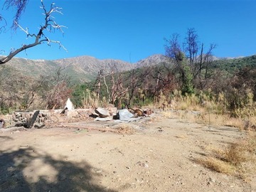 Imagen 5