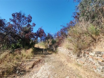 Imagen 13