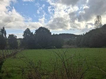 Venta / Terreno / San Juan de la Costa