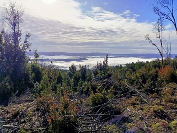 Venta / Terreno / San Juan de la Costa