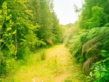 Venta / Terreno / San Juan de la Costa