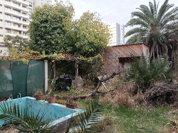 Imagen 21